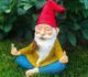 lawngnome's picture lawngnome's picture