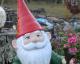 SpikedGnome's picture SpikedGnome's picture