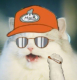 Rusty Shackleford's picture Rusty Shackleford's picture